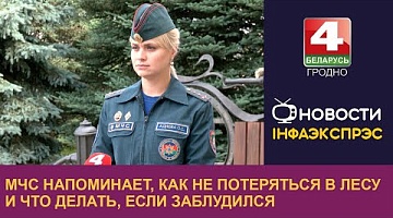 <b>Новости Гродно. 25.06.2024</b>. МЧС напоминает, как не потеряться в лесу и что делать, если заблудился