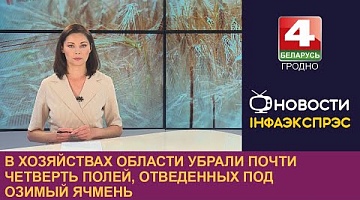 <b>Новости Гродно. 07.07.2023</b>.В хозяйствах области убрали почти четверть полей, отведенных под озимый ячмень