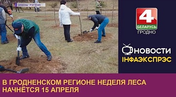 <b>Новости Гродно. 30.03.2023</b>. В Гродненском регионе неделя леса начнётся 15 апреля