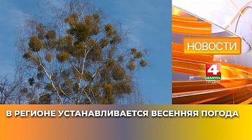 <b>Новости Гродно. 21.03.2025</b>. В регионе устанавливается весенняя погода