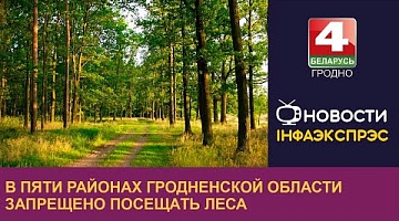 <b>Новости Гродно. 21.04.2023</b>. В пяти районах Гродненской области запрещено посещать леса