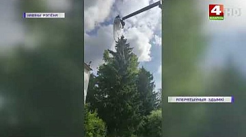 <b>Новости Гродно. 18.07.2022</b>. В Гродно спасатели оказали помощь застрявшей на дереве парашютистке