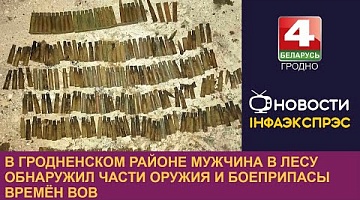 <b>Новости Гродно. 16.01.2023</b>. В Гродненском районе мужчина в лесу обнаружил части оружия и боеприпасы времён ВОВ