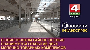 <b>Новости Гродно. 04.08.2023</b>. В Свислочском районе осенью планируется открытие двух молочно-товарных комплексов