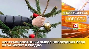 <b>Новости Гродно. 13.01.2025</b>. Централизованный вывоз новогодних ёлок организуют в Гродно 16 и 20 января