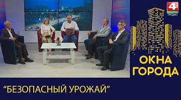 Окна города. "Безопасный урожай". 21.07.2023