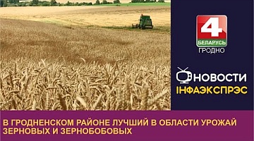 <b>Новости Гродно. 23.08.2023</b>. В Гродненском районе лучший в области урожай зерновых и зернобобовых