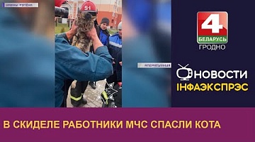 <b>Новости Гродно. 07.04.2023</b>. В Скиделе работники МЧС спасли кота