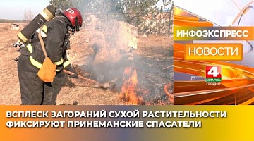<b>Новости Гродно. 10.03.2025</b>. Всплеск загораний сухой растительности фиксируют принеманские спасатели