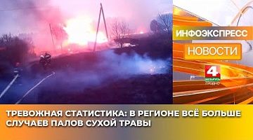 <b>Новости Гродно. 06.03.2025</b>. Тревожная статистика: в регионе всё больше случаев палов сухой травы