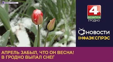<b>Новости Гродно. 26.04.2023</b>. Апрель забыл, что он весна! В Гродно выпал снег