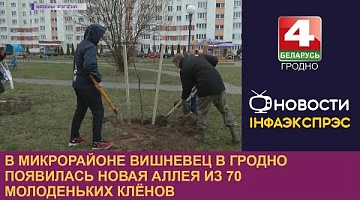 <b>Новости Гродно. 06.04.2023</b>. В микрорайоне Вишневец в Гродно появилась новая аллея из 70 молоденьких клёнов