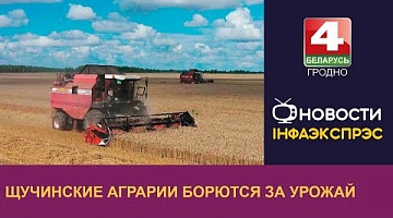 <b>Новости Гродно. 16.08.2023</b>. Щучинские аграрии борются за урожай