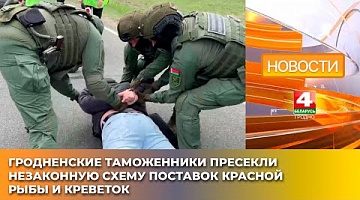 <b>Новости Гродно. 13.05.2025</b>. Гродненские таможенники пресекли незаконную схему поставок красной рыбы и креветок