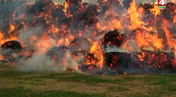 <b>Новости Гродно. 04.11.2019</b>. Сгорело 100 тонн соломы в Мостовском районе