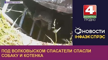 <b>Новости Гродно. 09.08.2022</b>. Под Волковыском спасатели спасли собаку и котенка