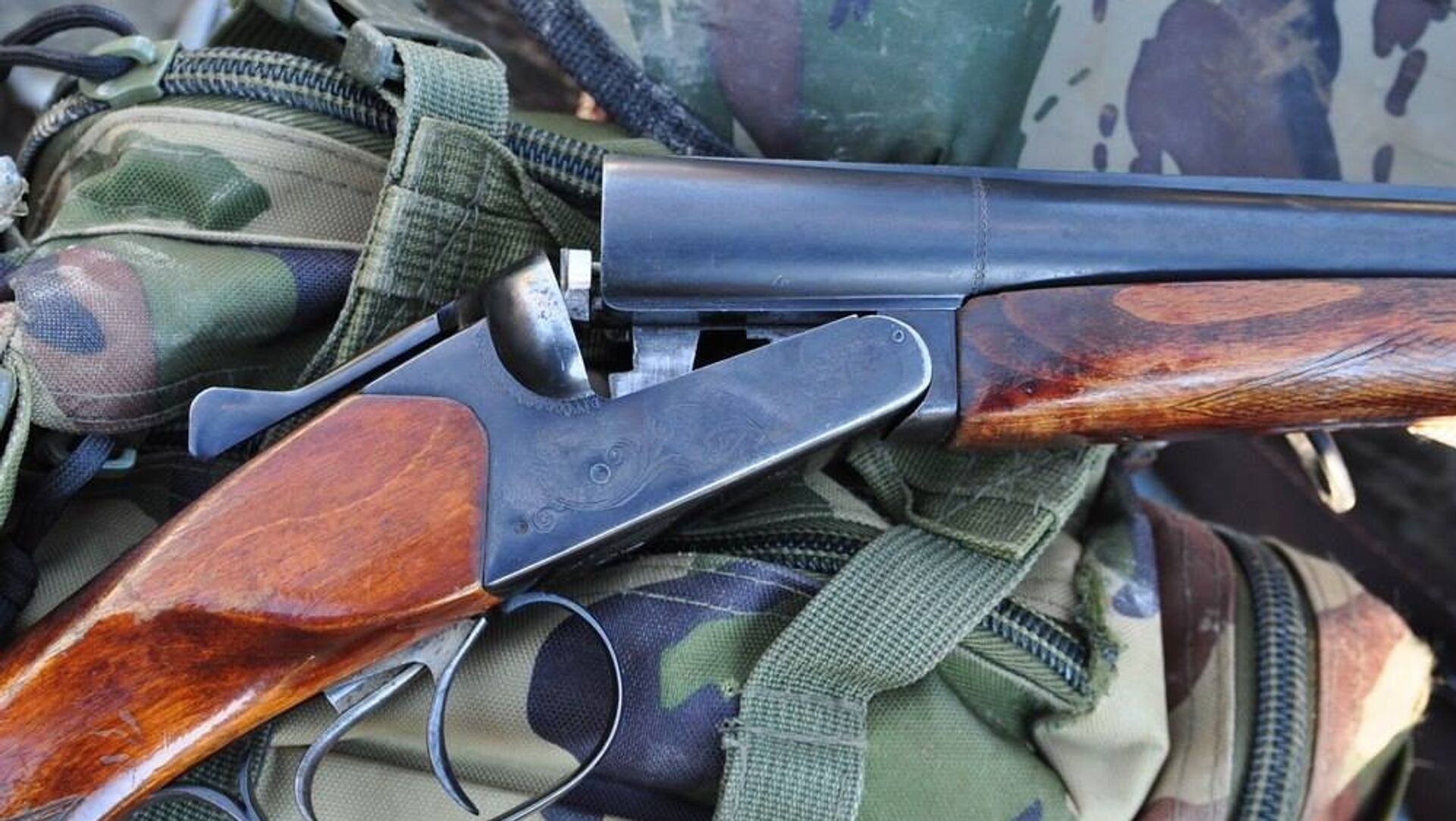 С 15 мая в Беларуси открывается сезон охоты на косулю