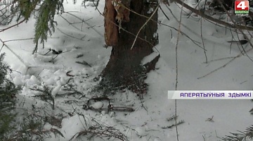 <b>Новости Гродно. 16.02.2021</b>. Задержали браконьера-варвара